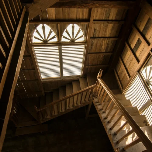 pexels-pexels-user-2152046166-31996198